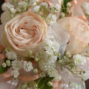 Meet your Posher, Adriana